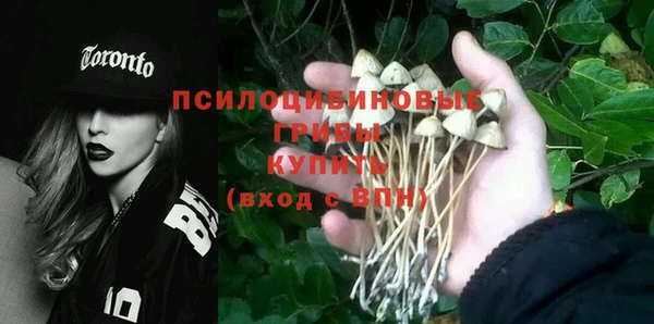 мяу мяу мука Покровск