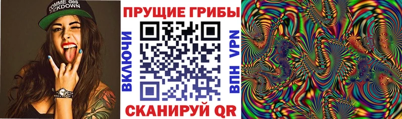 Галлюциногенные грибы Psilocybine cubensis  сайты даркнета состав  Усолье 